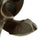 Original U.S. Colt .45cal 5 1/2" Barrel Single Action Army Revolver made in 1894 with Factory Letter Copy - Matching Serial 156040 Original Items