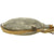 Original U.S. Civil War New York Depot Model 1858 Smooth Side Canteen with Sling Original Items