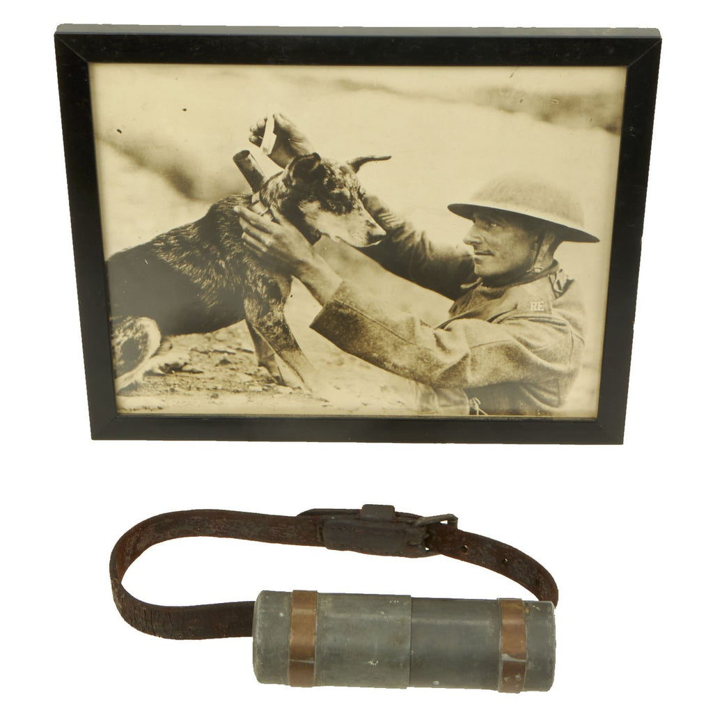 Original Imperial German WWI Rare Canine Message Tube Collar with Framed Photograph Original Items