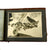 Original French Algerian War 10th Parachute Division, 20th Parachute Artillery Group Photo Album - 211 Photos Original Items