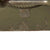 Original German WWII Tropical Afrikakorps Web Tab Steel Buckle by Berg und Nolte dated 1942 With Leather Belt - B&N 42 Original Items