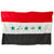 Original Operation Iraqi Freedom Large Flag of Iraq With Leatherette “Martyr” Flag Case - 87” x 59” Original Items