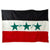 Original Operation Iraqi Freedom Large Flag of Iraq With Leatherette “Martyr” Flag Case - 83” x 56 ½” Original Items