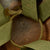 Original U.S. Vietnam War Era “WWII” M1 Helmet Used in Film Saving Private Ryan - 29th Infantry Division - U.S. SPR Marked Original Items