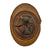 Original Belgian WWII Model 1926 Adrian Type Infantry Helmet with Lion Badge Original Items