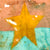 Original Vietnam War Battle Damaged North Vietnamese Army Viet Cong Flag - 32" x 38 ½” Original Items