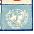 Original U.S. Korean War USAF Cloth Embroidered UN Forces Blood Chit Original Items