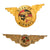 Original U.S. Pre-WWII Era Braniff Airlines / Air Transport Command Pilot Insignia Grouping With Photos - 24 Items Original Items