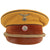 Original German WWII Early NSDAP Kreisleitung District Political Leader's Visor Cap with Black Piping Original Items