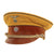 Original German WWII Early NSDAP Kreisleitung District Political Leader's Visor Cap with Black Piping Original Items