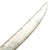 Original U.S Civil War 1860 Light Cavalry Saber with Steel Scabbard by C. Roby - Dated 1865 Original Items