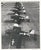 Original U.S. Navy WWII and Korean War Fighter Pilot Grouping Original Items