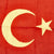 Original Ottoman Empire WWI Turkish Wool Flag - 19" x 29" Original Items