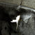 Original German WWII M35 KIA Shot Through Single Decal Luftwaffe Helmet - Marked ET64 Original Items