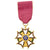 Original U.S. WWII 4th Marine Raider Battlaion Silver Star Medal - Photos - Documents Grouping Original Items