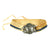 Original U.S. Navy 1931 Asiatic Fleet Lightweight Wrestling Championship Belt Original Items
