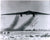 Original U.S. Artifacts from Crashed Northrop YB-49 Flying Wing Experimental Bomber with Book and Signed Photograph Original Items