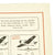 WWII German and British Imperial War Museum Aircraft Lithograph Collection Original Items