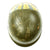 Original U.S. Vietnam War M1 Helmet Liner by Westinghouse Decorated with PEACE and Writing Original Items