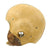 Original U.S. Early WWII Airborne Paratrooper Training Football Helmet by Riddell Original Items