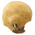 Original U.S. Early WWII Airborne Paratrooper Training Football Helmet by Riddell Original Items