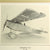 Original Imperial German WWI Luftstreitkräfte Framed Fokker D-VII “U.10” Fighter Aircraft Cut Fabric Piece - 21” x 15 ¾” Original Items