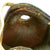 Original U.S. 1950s Tanker Paratrooper Training Ridell Football Helmet Original Items
