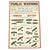 Original British WWI Public Warning Airships Identification Poster Original Items