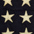 Original WWII United States Navy U.S.S. PC-550 Ensign Flag Flown During Invasion Of Salerno - September 1943 Original Items