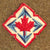 Original Korean War The Canadian Scottish Regiment (Princess Mary's) 1951 Dated Lieutenant's Battle Dress Jacket Original Items