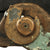 Original Japanese type 13.2mm Hotchkiss WWII Anti-Aircraft Display Gun on Pedestal Mount with Full Magazine Chest Original Items