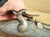Antique Combination Tool for Percussion Muskets Original Items