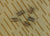 German Luger Trigger Spring Reproduction New Made Items