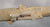 British P-1864 Snider type Breech Loading Infantry Short Rifle: Untouched Original Items
