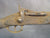 British P-1864 Snider type Breech Loading Infantry Short Rifle: Untouched Original Items