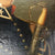 Original U.S. Mexican-American War Set of Officer Daniel Reutter- Oil Painting, Epaulettes, Documents - Circa 1842 Original Items