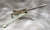 U.S. WWII Browning .30 Caliber 1919A4 Display Machine Gun with Tripod & Inert Ammo Original Items