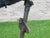 Italian WWII Breda M37 Display Machine Gun with Anti-Aircraft Mount Set Original Items