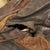 Original German WWII Luftwaffe Leather Flight Jacket Original Items