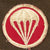 Original U.S. WWII Named 82nd Airborne 460th Artillery Grouping - Ray W. Wilson Original Items