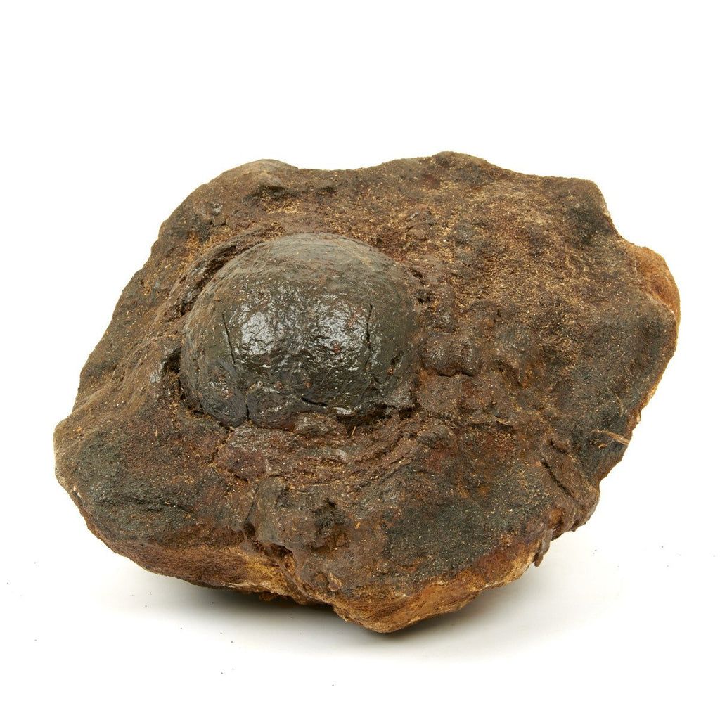Original American Revolutionary War Encrusted 4Lb Cannon Ball Recovered from Chesapeake Bay Near Fort McHenry Original Items