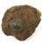 Original American Revolutionary War Encrusted 4Lb Cannon Ball Recovered from Chesapeake Bay Near Fort McHenry Original Items