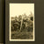 Original German WWII 1942-1943 Panzer Grenadier NCO Photo Album - 300 Photos Original Items